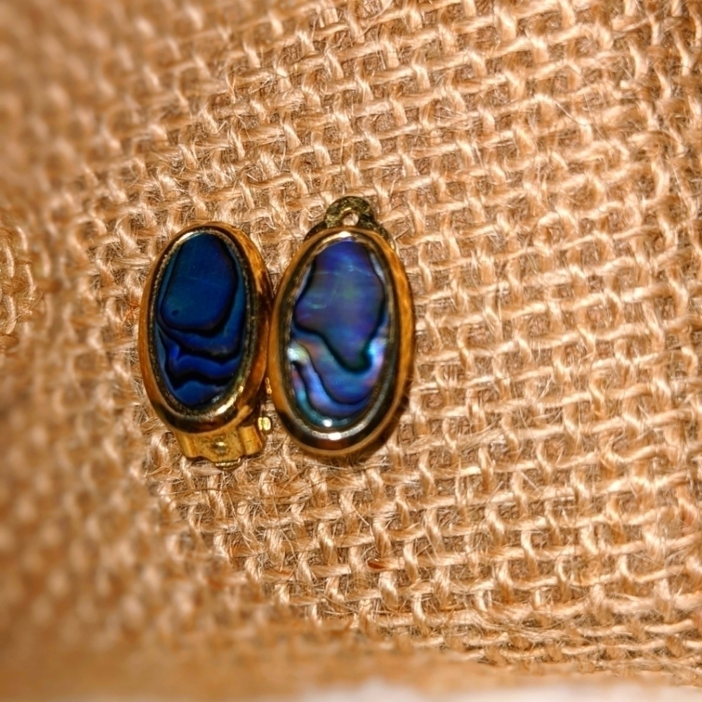 Oval Iridescent Gold Clip On Earrings